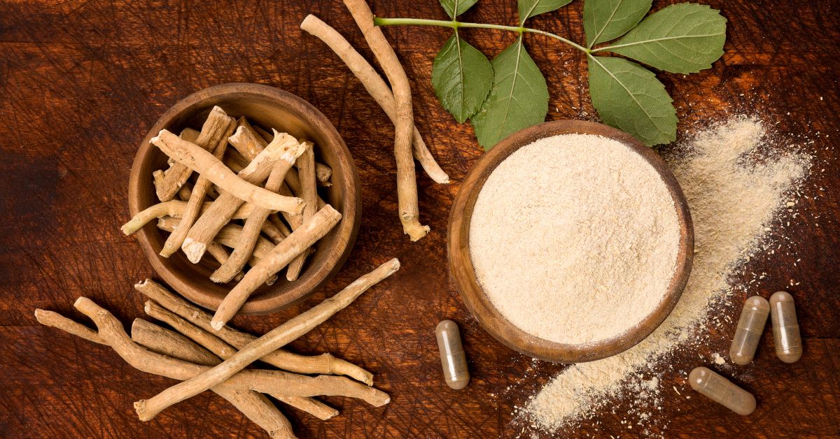 Ashwagandha: Benefícios, Usos e Cuidados